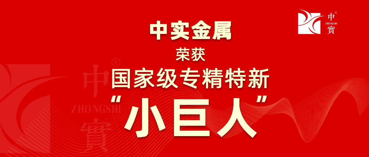 【喜訊】中實金屬獲評為廣東省第六批專精特新“小巨人”企業(yè)